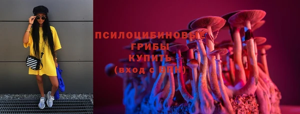 круглые Рославль