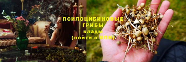 сатива Беломорск