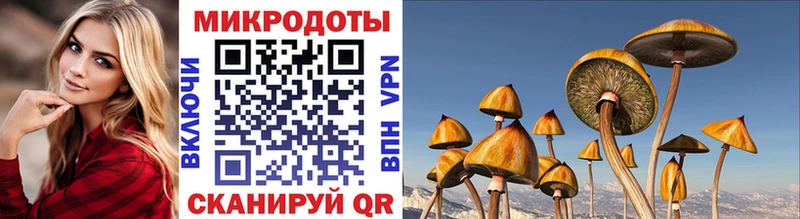 Псилоцибиновые грибы мицелий маркетплейс состав Калининец магазин гидра зеркало