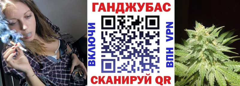 Каннабис гибрид  Калининец 